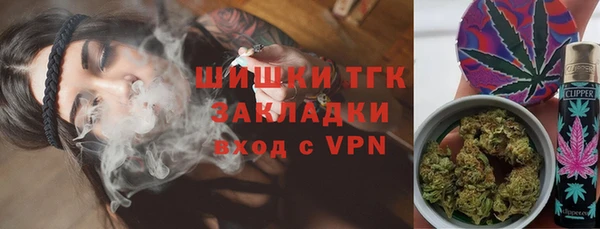 гидра Надым