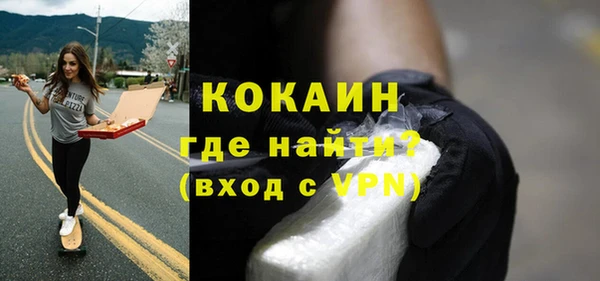 гидра Надым
