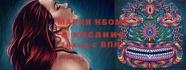 гидра Надым