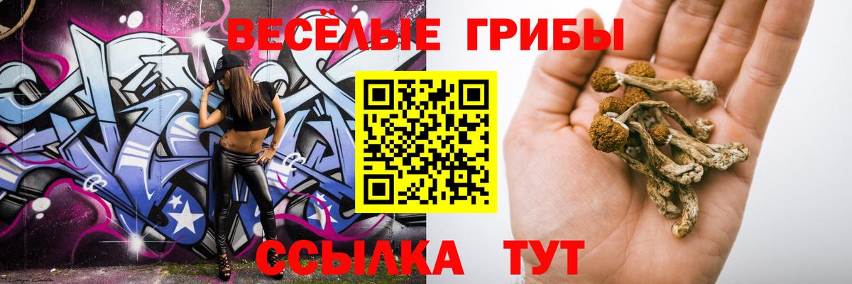 Галлюциногенные грибы Magic Shrooms Юрга